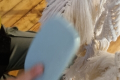 20221023_173330