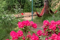 IMG-20230706-WA0001